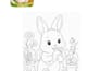 design and create a professional kids books